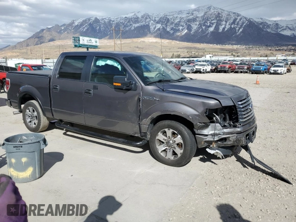 2012 Ford F-150 XL with VIN 1FTEW1CMXCFC00538, listed as a Copart auction lot 48563865 with 0 mi miles and Salvage Title. Bid and sale history available at carsss.com. Image 4.
