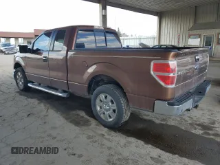 2011 Ford F-150 XL with VIN 1FTEX1CM0BFA49639, listed as a Copart auction lot 50201055 with 225,320 mi miles and Salvage Title. Bid and sale history available at carsss.com. Image 2.