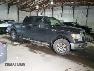 2010 Ford F-150 XL with VIN 1FTFW1EV8AFD31300, listed as a Copart auction lot 45961935 with Not Provided miles and Salvage Title. Bid and sale history available at DreamBid. Image 4.