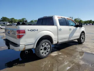 2009 Ford F-150 XL with VIN 1FTPW14V19FB17234, listed as a Copart auction lot 53957085 with 0 mi miles and Salvage Title. Bid and sale history available at carsss.com. Image 3.
