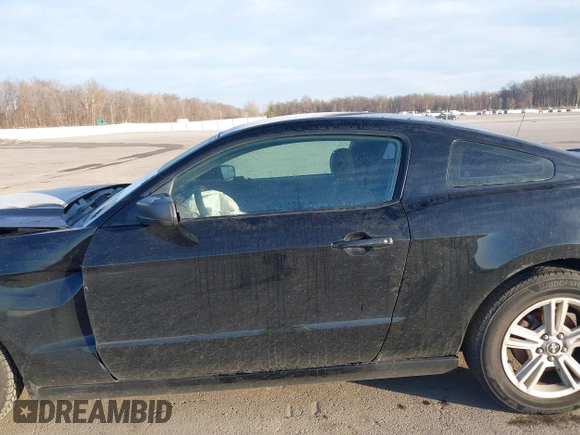 2014 Ford Mustang V6 z VIN 1ZVBP8AM4E5262440, wystawiony jako IAAI lot #41523652 z przebiegiem 140 573 mil mil oraz . Historia ofert i sprzedaży dostępna na DreamBid. Obrazek 15.