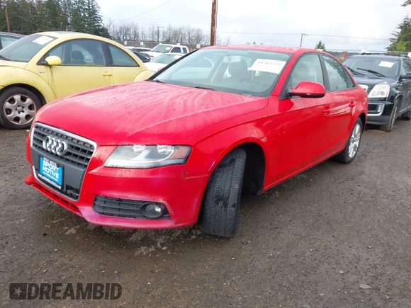 2010 Audi A4 2.0T Premium with VIN WAUBFAFL7AN037904, listed as a IAAI auction lot 41763722 with 110,445 mi miles. Bid and sale history available at carsss.com. Image 2.