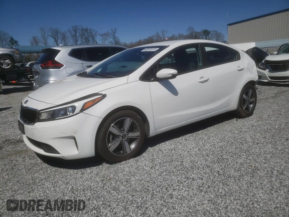 2018 Kia Forte LX with VIN 3KPFL4A75JE225608, listed as a Copart auction lot 49241415 with 188,236 mi miles and Salvage Title. Bid and sale history available at carsss.com. Image 1.