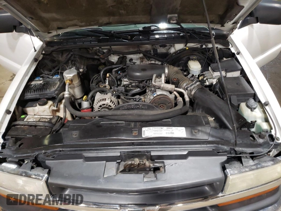 1999 Chevrolet Blazer LS with VIN 1GNCT18W5XK136973, listed as a Copart auction lot 60284865 with 199,759 mi miles and Clean title. Bid and sale history available at DreamBid. Image 12.