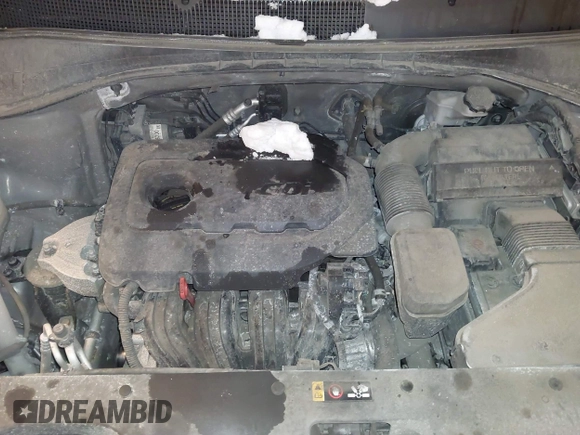 2019 Kia Sorento LX with VIN 5XYPG4A36KG498664, listed as a IAAI auction lot 41609272 with 172,042 mi miles. Bid and sale history available at carsss.com. Image 10.