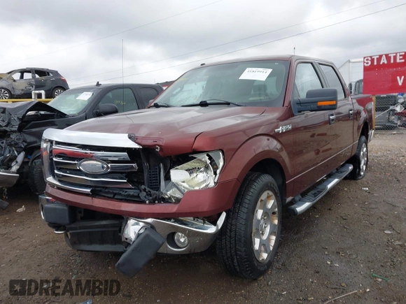 2009 Ford F-150 XL with VIN 1FTPW14V09FA04651, listed as a IAAI auction lot 41819914 with 114,241 mi miles and . Bid and sale history available at DreamBid. Image 17.