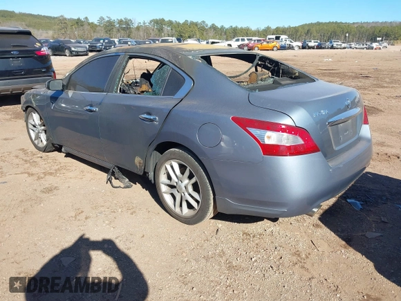 2010 Nissan Maxima SV with VIN 1N4AA5AP5AC824186, listed as a IAAI auction lot 41377558 with Not provided miles and . Bid and sale history available at DreamBid. Image 3.