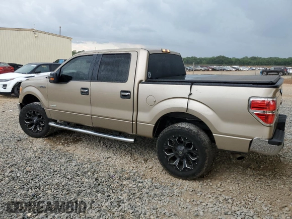 2012 Ford F-150 XL with VIN 1FTFW1ET5CFC30264, listed as a Copart auction lot 55231195 with 272,270 mi miles and Salvage title. Bid and sale history available at DreamBid. Image 2.