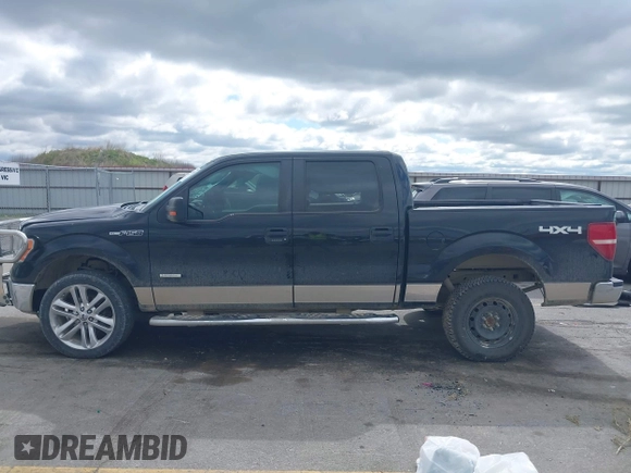 2012 Ford F-150 XL with VIN 1FTFW1ET3CFC59486, listed as a IAAI auction lot 42320458 with 169,254 mi miles and . Bid and sale history available at DreamBid. Image 14.