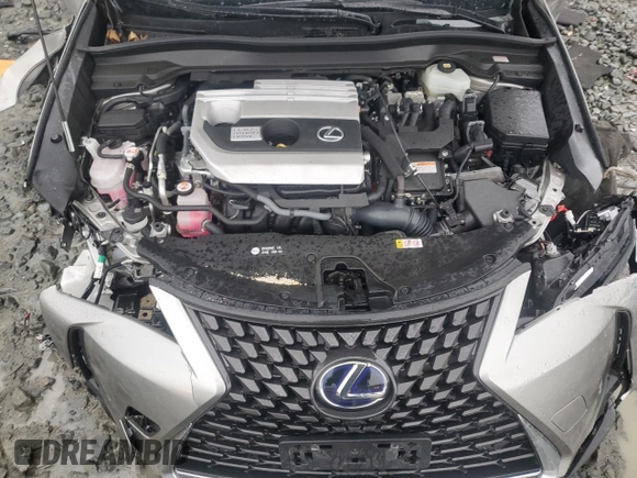 2021 Lexus UX with VIN JTHP9JBH1M2039301, listed as a Copart auction lot 50186785 with 32,242 mi miles and Salvage Title. Bid and sale history available at carsss.com. Image 13.