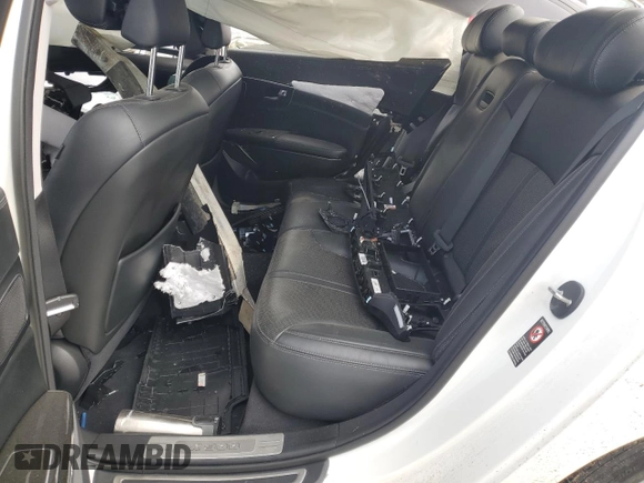 2016 Kia K900 Luxury with VIN KNALU4D36G6032176, listed as a Copart auction lot 43993855 with 0 mi miles and Salvage Title. Bid and sale history available at carsss.com. Image 11.