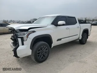 2024 Toyota Tundra 4WD Platinum with VIN 5TFNA5DBXRX232119, listed as a Copart auction lot 49095685 with 8,456 mi miles and Salvage Title. Bid and sale history available at carsss.com. Image 1.