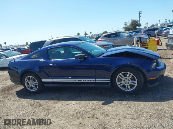 2011 Ford Mustang V6 with VIN 1ZVBP8AM1B5128934, listed as a IAAI auction lot 41805865 with 165,178 mi miles and . Bid and sale history available at carsss.com. Image 13.