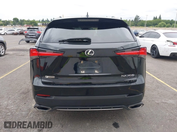 2018 Lexus NX 300 with VIN JTJBARBZ6J2152910, listed as a IAAI auction lot 42497169 with 153,879 mi miles and . Bid and sale history available at DreamBid. Image 17.