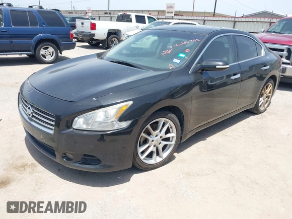 2010 Nissan Maxima SV with VIN 1N4AA5AP0AC816495, listed as a IAAI auction lot 42262745 with 149,536 mi miles and . Bid and sale history available at DreamBid. Image 2.