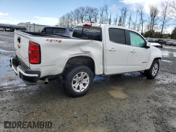 2019 Chevrolet Colorado 4WD LT z VIN 1GCGTCEN6K1319086, wystawiony jako Copart lot #51813825 z przebiegiem Nie podano mil oraz Szkoda całkowita • Salvage title. Historia ofert i sprzedaży dostępna na DreamBid. Obrazek 3.