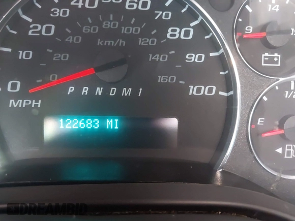 2020 Chevrolet Express Cargo with VIN 1GCWGAFP6L1275225, listed as a IAAI auction lot 41801450 with 122,683 mi miles and . Bid and sale history available at DreamBid. Image 16.