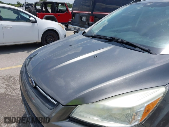 2013 Ford Escape SE with VIN 1FMCU0GX7DUD94269, listed as a IAAI auction lot 42621776 with 116,117 mi miles and . Bid and sale history available at DreamBid. Image 6.