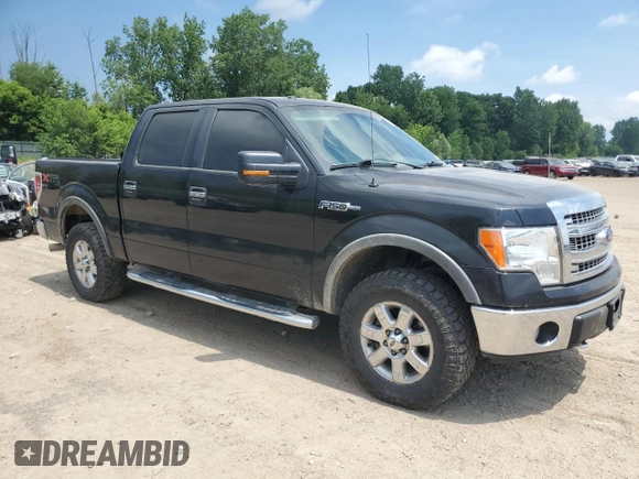 2014 Ford F-150 XL with VIN 1FTFW1EFXEFB04995, listed as a Copart auction lot 60883835 with 176,136 mi miles and Clean title. Bid and sale history available at DreamBid. Image 4.