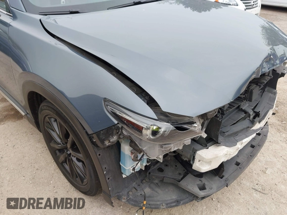 2023 Mazda CX-9 Grand Touring with VIN JM3TCBDY2P0636226, listed as a IAAI auction lot 42384360 with 161,352 mi miles and . Bid and sale history available at DreamBid. Image 19.