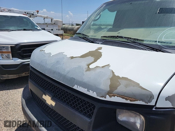 2010 Chevrolet Express Cargo with VIN 1GCZGFBA6A1153344, listed as a IAAI auction lot 42900629 with 149,002 mi miles and . Bid and sale history available at DreamBid. Image 7.