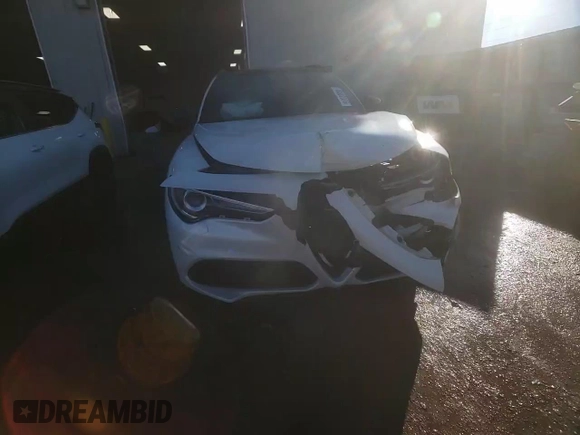 2020 Alfa Romeo Stelvio Ti z VIN ZASPAKBNXL7C93313, wystawiony jako Copart lot #46082005 z przebiegiem 42 508 mil mil oraz Szkoda całkowita • Salvage title. Historia ofert i sprzedaży dostępna na DreamBid. Obrazek 13.