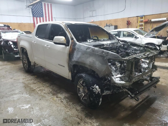 2017 Chevrolet Colorado 2WD Z71 with VIN 1GCGSDE19H1171546, listed as a Copart auction lot 42098005 with 0 mi miles and Non Repairable. Bid and sale history available at carsss.com. Image 4.