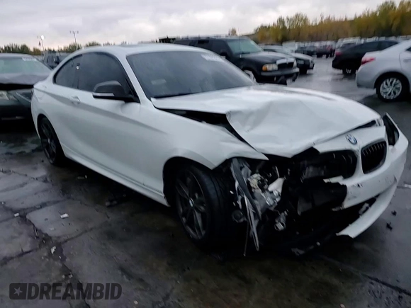 2017 BMW 2 Series M240i xDrive with VIN WBA2G3C30HV641463, listed as a Copart auction lot 77101614 with 76,571 mi miles and Salvage Title. Bid and sale history available at carsss.com. Image 13.