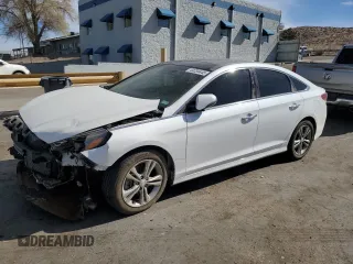 2019 Hyundai Sonata SEL with VIN 5NPE34AF5KH738048, listed as a Copart auction lot 49234445 with 62,075 mi miles and Salvage Title. Bid and sale history available at DreamBid. Image 1.