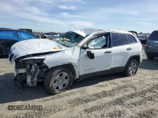 2017 Jeep Cherokee Sport with VIN 1C4PJLAB1HW613475, listed as a Copart auction lot 44610985 with 0 mi miles and Salvage Title. Bid and sale history available at carsss.com. Image 1.