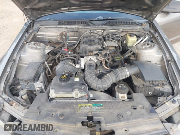 2005 Ford Mustang Deluxe with VIN 1ZVFT80N255121745, listed as a IAAI auction lot 42540069 with Not provided miles and . Bid and sale history available at DreamBid. Image 10.