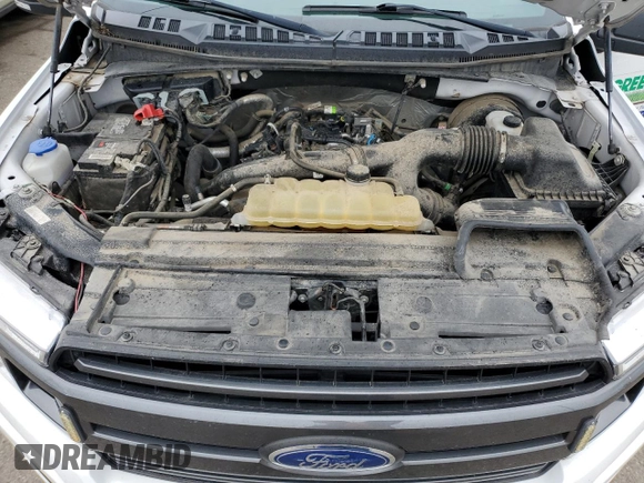 2019 Ford F-150 XL with VIN 1FTEX1CP1KFB02018, listed as a Copart auction lot 57113545 with 116,722 mi miles and Salvage title. Bid and sale history available at DreamBid. Image 11.