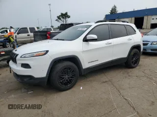 2014 Jeep Cherokee Limited with VIN 1C4PJLDB2EW155226, listed as a Copart auction lot 60709595 with 160,196 mi miles and Salvage title. Bid and sale history available at DreamBid. Image 1.