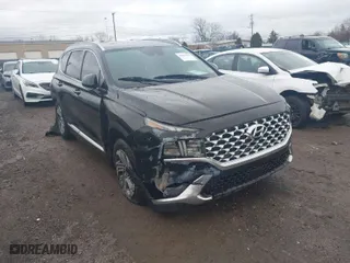 2021 Hyundai Santa Fe SEL with VIN 5NMS24AJ0MH360019, listed as a IAAI auction lot 41011442 with 54,174 mi miles. Bid and sale history available at carsss.com. Image 1.