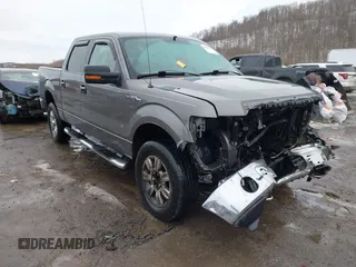 2009 Ford F-150 XL with VIN 1FTRW14849FA51992, listed as a IAAI auction lot 41444548 with 1 mi miles. Bid and sale history available at carsss.com. Image 1.
