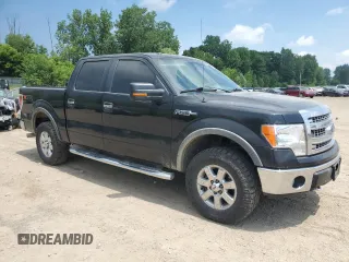 2014 Ford F-150 XL with VIN 1FTFW1EFXEFB04995, listed as a Copart auction lot 60883835 with 176,136 mi miles and Clean title. Bid and sale history available at DreamBid. Image 4.