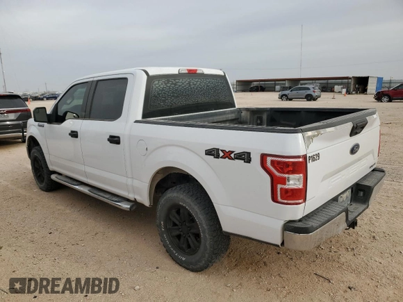 2019 Ford F-150 XL with VIN 1FTEW1E51KKC91629, listed as a Copart auction lot 44557935 with 183,798 mi miles and Clean Title. Bid and sale history available at carsss.com. Image 2.