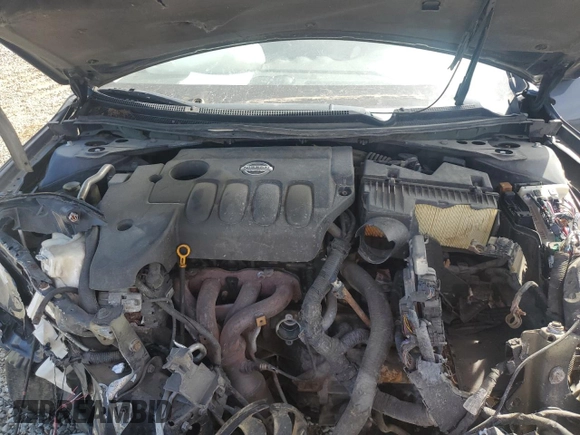 2009 Nissan Altima SL with VIN 1N4AL21E59N500016, listed as a Copart auction lot 50195785 with Not Provided miles and Clean Title. Bid and sale history available at DreamBid. Image 12.