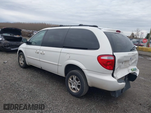 2002 Dodge Caravan EX with VIN 2B8GP74L22R521491, listed as a IAAI auction lot 41838396 with 84,855 mi miles. Bid and sale history available at carsss.com. Image 3.