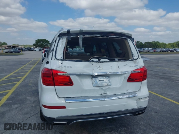 2014 Mercedes-Benz GL-Class GL 450 with VIN 4JGDF7CE0EA298157, listed as a IAAI auction lot 42094478 with 202,424 mi miles. Bid and sale history available at carsss.com. Image 6.