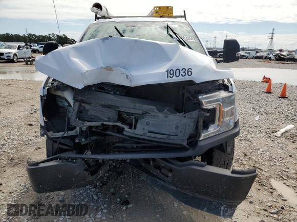 2019 Ford F-150 XL with VIN 1FTMF1C55KKD84717, listed as a Copart auction lot 55502855 with 179,343 mi miles and Clean title. Bid and sale history available at DreamBid. Image 5.