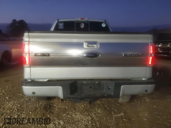 2009 Ford F-150 XL with VIN 1FTPW14V29FA39062, listed as a Copart auction lot 44239455 with 231,207 mi miles and Salvage title. Bid and sale history available at DreamBid. Image 6.