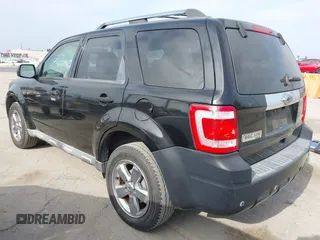 2010 Ford Escape Limited with VIN 1FMCU0EG9AKA03715, listed as a IAAI auction lot 42473990 with 207,234 mi miles and . Bid and sale history available at DreamBid. Image 3.