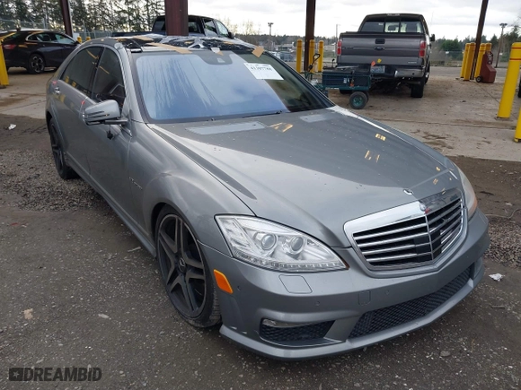 2013 Mercedes-Benz S-Class S 63 AMG with VIN WDDNG7EB3DA493697, listed as a IAAI auction lot 41307788 with 113,561 mi miles. Bid and sale history available at carsss.com. Image 1.