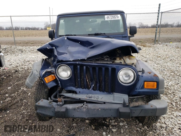 2006 Jeep Wrangler Sport with VIN 1J4FA49S16P710232, listed as a Copart auction lot 44728825 with 134,218 mi miles and Clean Title. Bid and sale history available at carsss.com. Image 5.