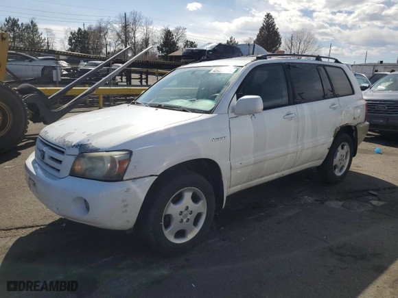 2004 Toyota Highlander with VIN JTEEP21A140052047, listed as a Copart auction lot 48423455 with 254,028 mi miles and Salvage Title. Bid and sale history available at carsss.com. Image 1.