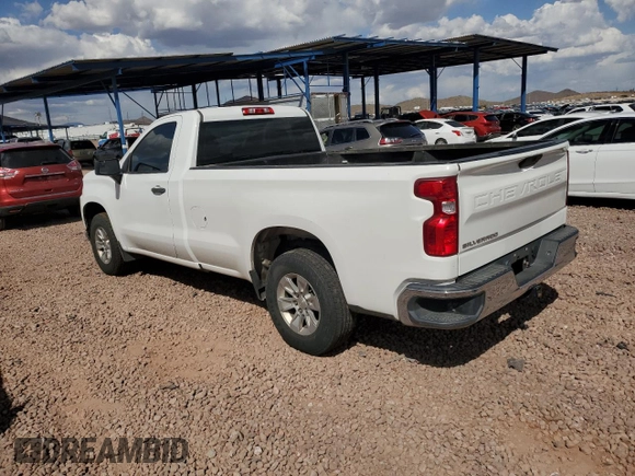 2019 Chevrolet Silverado 1500 Work Truck with VIN 3GCNWAEF3KG224577, listed as a Copart auction lot 50569615 with 113,231 mi miles and Salvage Title. Bid and sale history available at DreamBid. Image 2.