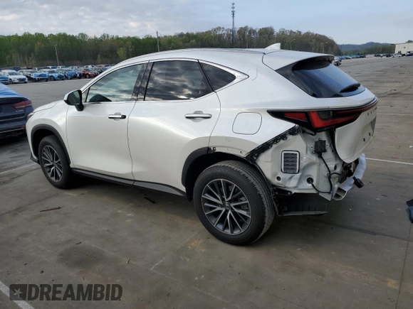 2024 Lexus NX 350h Luxury with VIN JTJHKCEZ6R2035436, listed as a Copart auction lot 53672415 with 10,517 mi miles and Salvage title. Bid and sale history available at DreamBid. Image 2.