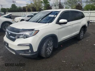 2019 Honda Pilot EX-L with VIN 5FNYF6H59KB051490, listed as a Copart auction lot 55941565 with 113,033 mi miles and Salvage title. Bid and sale history available at DreamBid. Image 1.