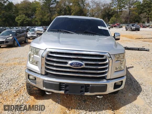 2017 Ford F-150 XL with VIN 1FTEW1EF6HFA20589, listed as a Copart auction lot 49012525 with 188,748 mi miles and Salvage title. Bid and sale history available at DreamBid. Image 5.
